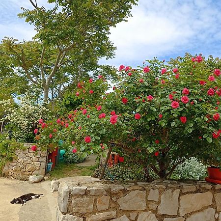 App Bonic Apartment Veli Lošinj Екстериор снимка