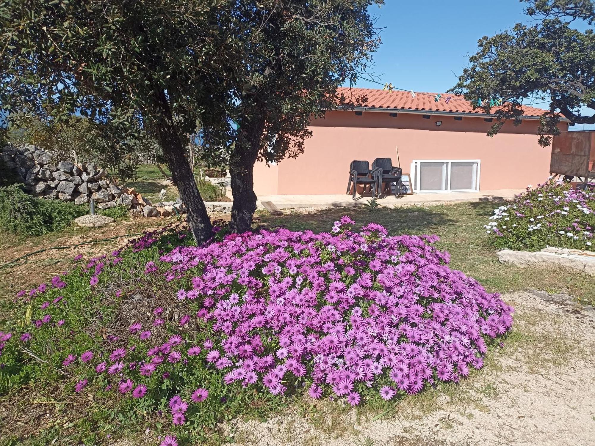 App Bonic Apartment Veli Lošinj Екстериор снимка
